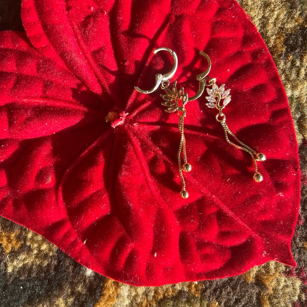 Earrings jewelry